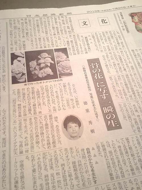 Nikkei Newspaper