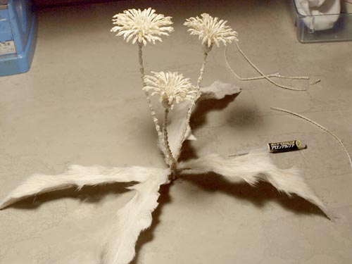 making-dandelion