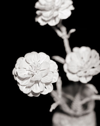 Carnation #05, 2012